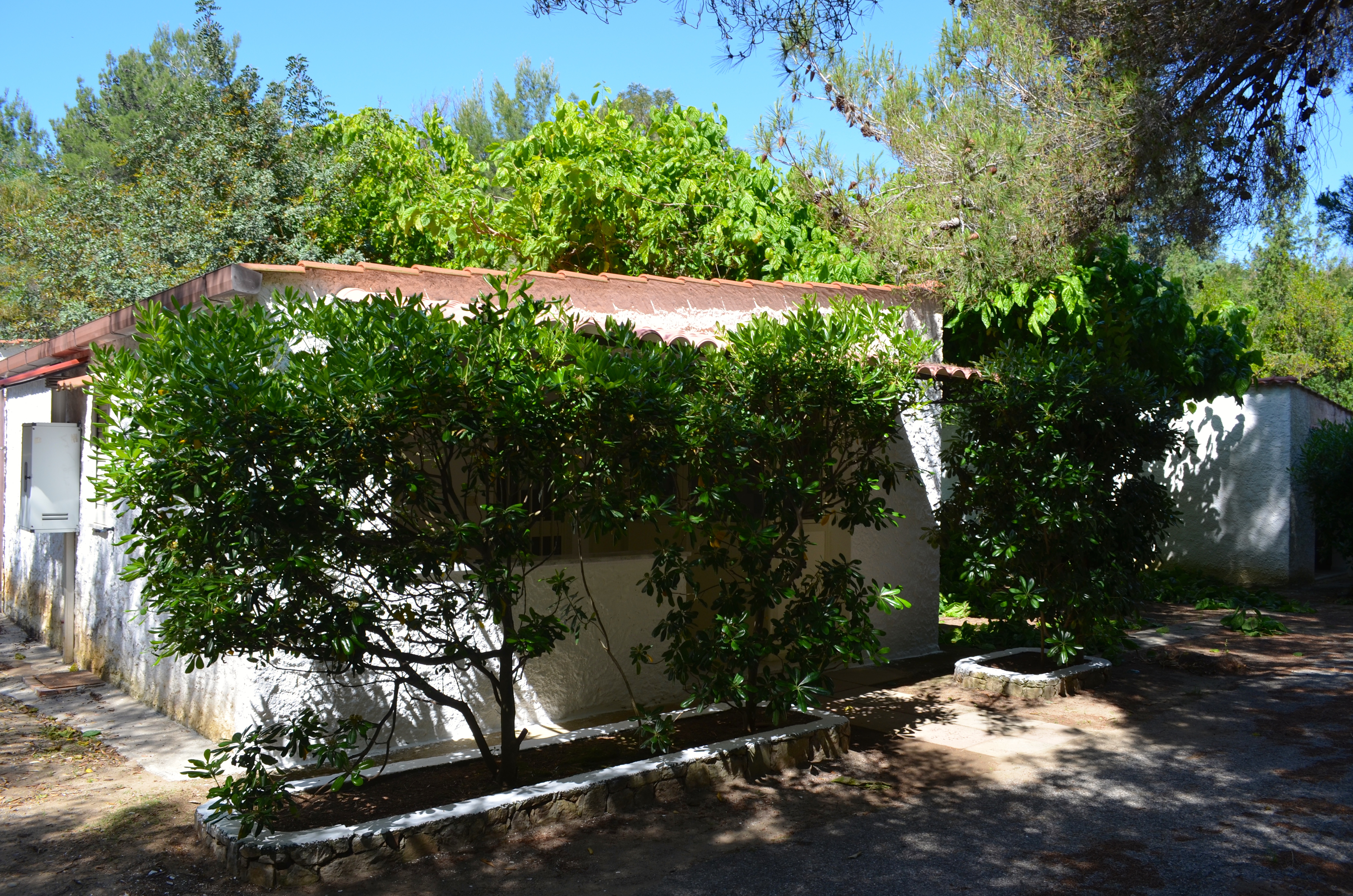 Villaggio Camping Nessuno Villaggio Camping Nessuno