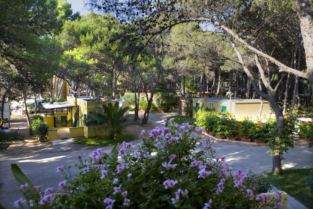 Camping La Vecchia Torre